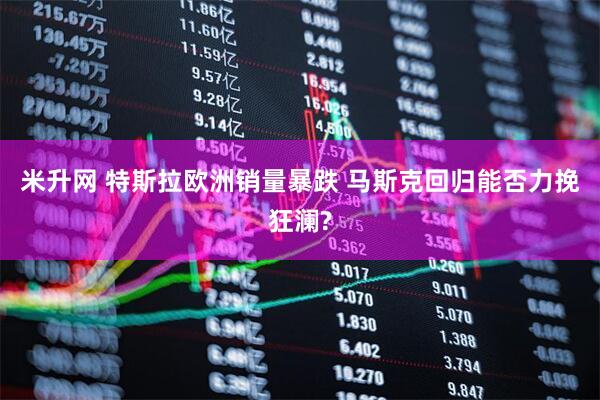 米升网 特斯拉欧洲销量暴跌 马斯克回归能否力挽狂澜?