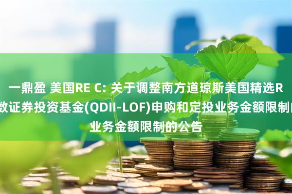 一鼎盈 美国RE C: 关于调整南方道琼斯美国精选REIT指数证券投资基金(QDII-LOF)申购和定投业务金额限制的公告