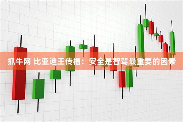 抓牛网 比亚迪王传福：安全是智驾最重要的因素