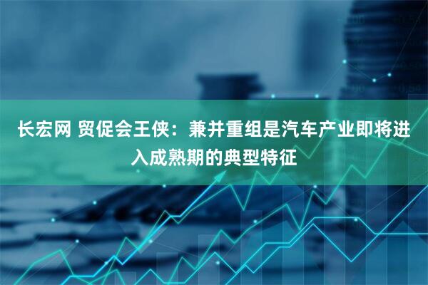 长宏网 贸促会王侠：兼并重组是汽车产业即将进入成熟期的典型特征