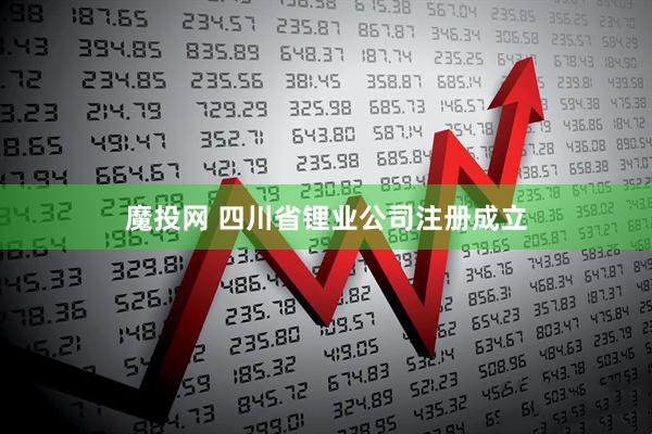 魔投网 四川省锂业公司注册成立