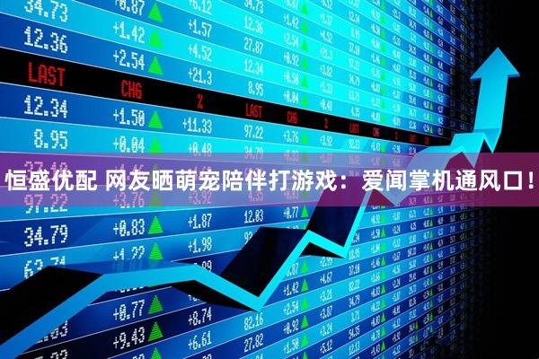 恒盛优配 网友晒萌宠陪伴打游戏：爱闻掌机通风口！