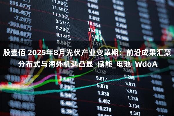 股壹佰 2025年8月光伏产业变革期：前沿成果汇聚 分布式与海外机遇凸显_储能_电池_WdoA