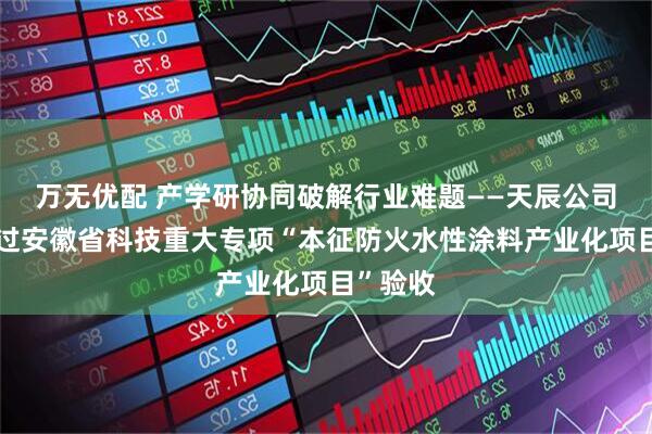 万无优配 产学研协同破解行业难题——天辰公司顺利通过安徽省科技重大专项“本征防火水性涂料产业化项目”验收
