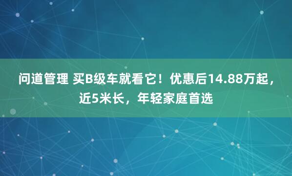 问道管理 买B级车就看它!优惠后14.88万起,近5米长,年轻家庭首选