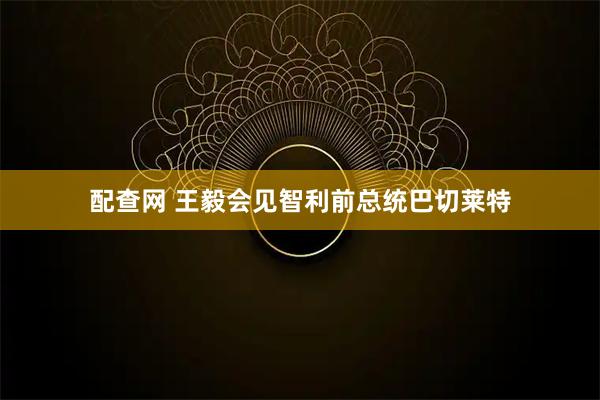 配查网 王毅会见智利前总统巴切莱特