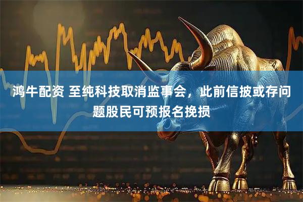 鸿牛配资 至纯科技取消监事会,此前信披或存问题股民可预报名挽损