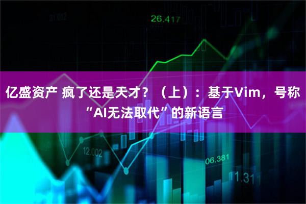亿盛资产 疯了还是天才?(上):基于Vim,号称“AI无法取代”的新语言