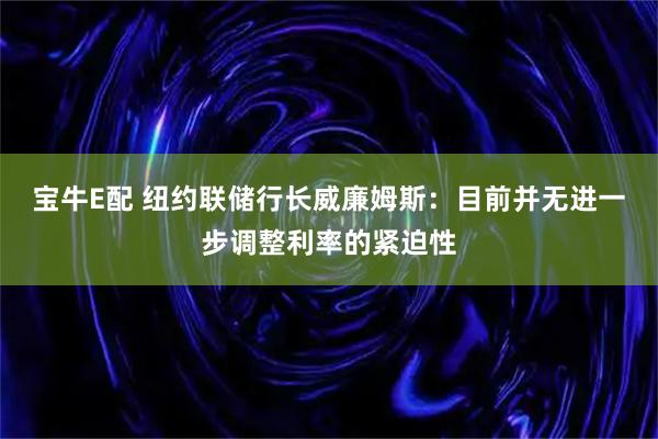 宝牛E配 纽约联储行长威廉姆斯:目前并无进一步调整利率的紧迫性